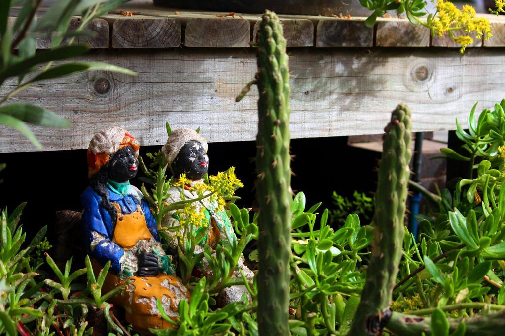 Sirena Insolente Hostel & Suites Pichilemu Zewnętrze zdjęcie